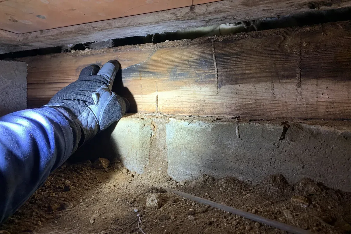 Same Hampton, VA property after inspection-first pest treatment
